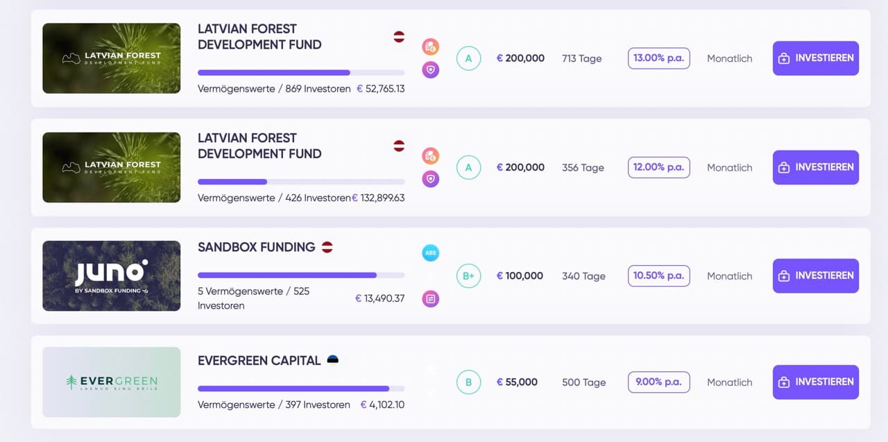 Debitum Investmentsübersicht - Die wichtigsten Risiken bei Debitum auf einen Blick
