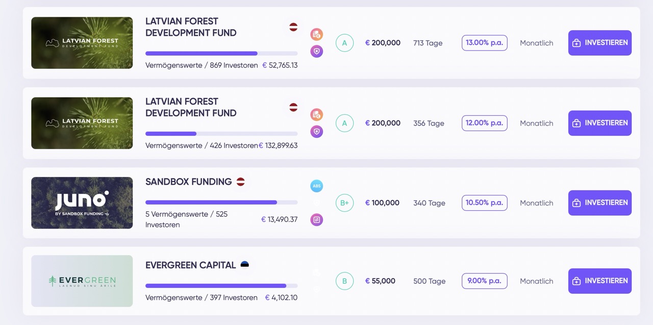 Debitum Investmentsübersicht - Die wichtigsten Risiken bei Debitum auf einen Blick